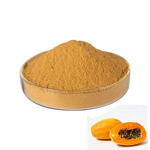 ผงมะละกอผงมะละกอคุณภาพสูงมุม - Product Image 4