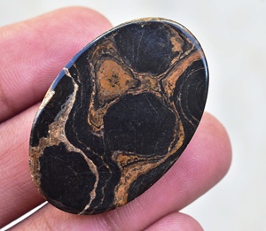 Stromatolite Jasper Cabochon แหวนเงิน,หินขัดจัสมาโตไลต์แจสเปอร์ทรงหลวมสำหรับเครื่องประดับ - Product Image 3