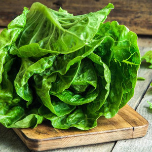 ผักพรีเมี่ยม: ใบลำต้นและเมล็ดพืชสำหรับสลัดซุปแซนวิชห่อและย่างจากการขายดี - Product Image 5