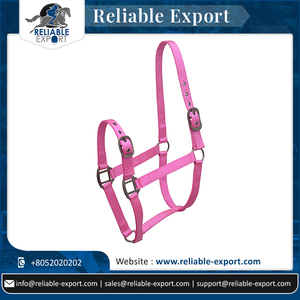 El último cabestro de cuero de nailon resistente para montar a caballo estilo inglés occidental hecho con materiales de PVC PP colección actual - Product Image 2