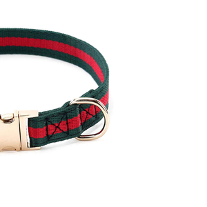 Collar para Perro con Asa, Ajustable, Diseño de Cinta de Nylon, para Perros Medianos a Grandes, Entrenamiento Canino - Product Image 4