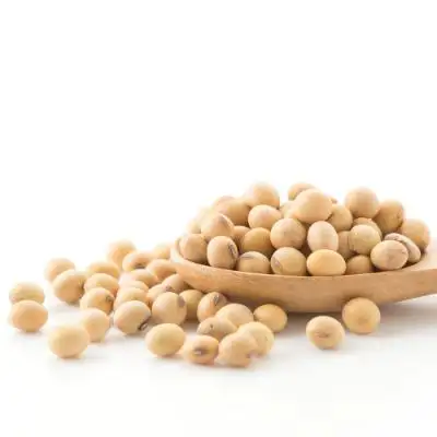 Soybeans High Grade Soy Beans Raw Soya Bean Grain In Bags Organic Bulk Soybeans Seeds For Food For Sale
