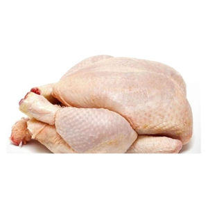 Pollo entero congelado Halal de grado premium, calidad de exportación baja en carbohidratos, estrictamente procesado y empaquetado en instalaciones higiénicas certificadas - Product Image 4