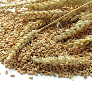 Grain de blé de haute qualité provenant d'ukraine 1, grade 2, grade 3, grade 6, livraison dans le monde entier, disponible dans un emballage à faible coût en 25kg b - Product Image 4