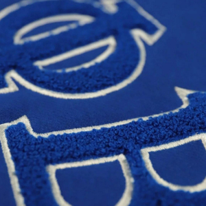 Pull à capuche à manches longues avec poche latérale pour femmes, best-seller, sororité Devine Nine, broderie en chenille, Zeta Phi Beta, hiver - Product Image 4