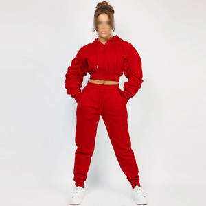 2024 hiver survêtement haute qualité survêtement pull court à capuche femmes survêtement ensembles couleur unie 100% coton polaire personnalisé - Product Image 3