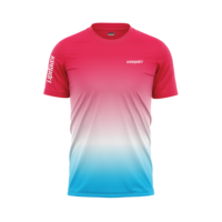 Camisetas Deportivas Unisex Personalizadas OEM ODM de Spandex/Poliéster, Conjuntos de Camisetas sin Costuras con Elasticidad en Cuatro Direcciones, Transpirables, con Impresión por Sublimación