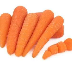 Zanahorias Frescas de Primera Calidad, Cosecha de Granja - Product Image 3