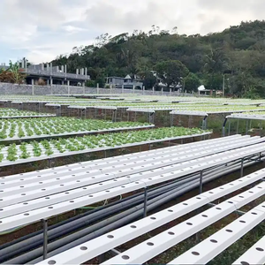 Sistemas Hidropónicos Interiores Llave en Mano y Torre Aeropónica para Proyectos de Agricultura Comercial - Product Image 5