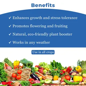 Acadian Goldstar Biostimulant Food Grade Ascophyllum Nodosum <b>Seaweed</b> Extract Powder Enhances Abiotic Stress Plants Fucoxanthin - Product Image 4