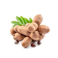 Wild Tamarind Poeder Extract Natuurlijk Zuur Fruit Voedingsmiddelkwaliteit Drank Functioneel Voedsel Groothandel OEM Leverancier Siammit Merk