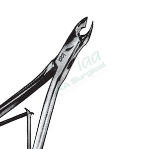 Mini Rongeurs Curvos Friedmann, Pinzas para Huesos Finos, Instrumentos Quirúrgicos Ortopédicos Manuales de Acero Inoxidable con Certificación CE - Product Image 5