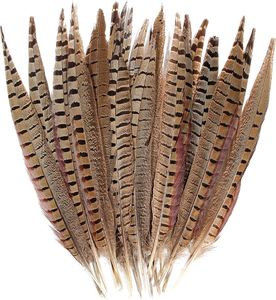 Plumas de Cola de Faisán Reeves Naturales de Alta Calidad, de 20-150 cm, Plumas Grandes - Product Image 1