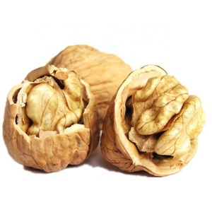 Top Grade Wholesale Walnuts for Sale in Cheap Price - Product Image 3