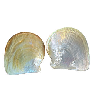 Offre Spéciale BON MARCHÉ Nacre Cuillère En Gros Exquise Nacre Nacre Caviar Cuillère avec gravure logo - Product Image 1