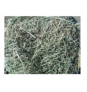 Foin de Timothy de qualité supérieure, grade A, pour chevaux et bovins, origine américaine, emballage en vrac - Product Image 4