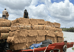 Eco2go-brocha de fibra de coco, fibra de coco vietnamita, precio de buena calidad - Product Image 5