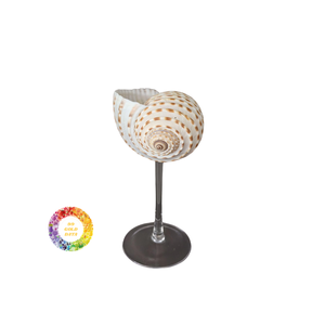 Copa de vino alta hecha a mano, Concha natural, copa de vino, diseño creativo, regalo de bandeja de concha, Copa interesante de decoración de gama alta - Product Image 3