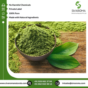 Aceite de Extracto de Té Verde Silvestre, Precio de Fábrica, Nuevo Producto 2024, India, Salud, Cantidad a Granel - Product Image 3