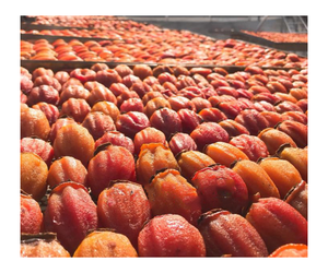 MEJOR VENTA PERSIMÓN SECO: FRUTAS SECAS PREMIUM CALIDAD EXPORTACIÓN Y VENTA AL POR MAYOR DE VIETNAM - Product Image 6