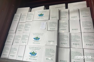 NOIX DE CAJOU DE QUALITÉ SUPÉRIEURE D'AGRIKIM VIETNAM - Product Image 6