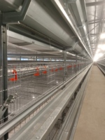 Système de cages en batterie automatique pour élevages de poulets, équipement de cages pour poulets de ferme avicole pour une production d'œufs à haut rendement