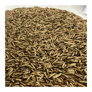 ALTA CALIDAD | GUSANOS SECOS/LARVAS SOLDADAS NEGRAS CON ALTA PROTEÍNA DE VIET NAM - Product Image 1