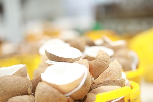 La mejor crema batida líder, Blanco Natural, Vegano, Spray, leche de coco en polvo, bolsa empaquetada, precio al por mayor - Product Image 5