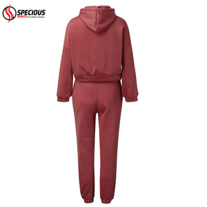 High Quality Women's Streetwear Casual Heavyweight Tracksuits Customized Size Hooded Breathable 100% Cotton <b>Eco</b>-Friendly Solid - Product Image 3