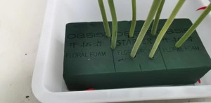 Blocs de mousse florale humide <span class=keywords><strong>Oasis</strong></span> pour arrangements floraux, blocs de boue vert pour fleurs fraîches et préservées, argile florale, mousse de fixation pour fleurs - Product Image 6