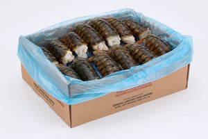 All'ingrosso Code di aragosta congelate fresche dal vivo aragosta aragosta in scatola stile per uso alimentare - Product Image 2