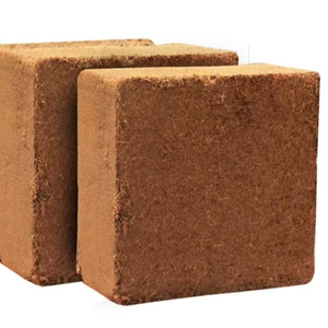 Solution de culture durable : blocs de tourbe de coco 100 % biologiques et écologiques - Product Image 1