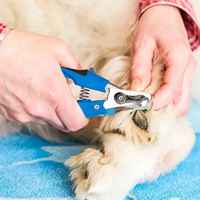 Coupe-ongles professionnels durables en acier inoxydable pour animaux de compagnie coupe-ongles pour chiens réutilisables et prix de gros