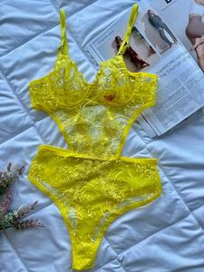 Body de Encaje Sexy, Lencería de una Pieza, Transparente, con Bordado 3D, Ajustado, Ropa Interior Femenina de Tela Tejida, Lavable a Máquina - Product Image 1