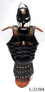 Plastron en cuir avec protège-épaules, protège-bras et jupe - Product Image 5