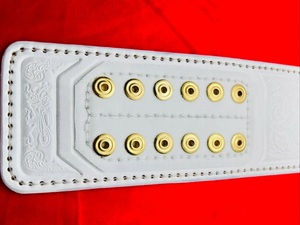 Accessoires de championnat de lutte, y compris des ceintures de champion avec des plaques centrales audacieuses, des détails de plaques latérales améliorés, un équilibre visuel solide - Product Image 4