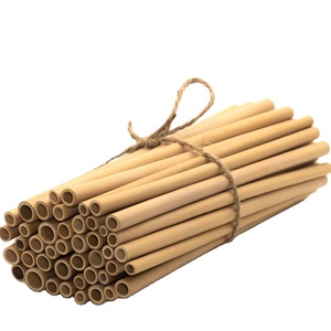 Pajitas de Bambú Naturales de Alta Calidad con Logotipo Personalizado, con Cepillo y Bolsa, por ECO2GO VIETNAM - Product Image 1