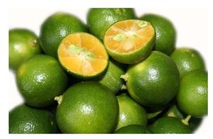 Extrait de fruit de Kumquat en vrac de qualité supérieure Poudre de Kumquat/Poudre de qualité sur le marché - Product Image 5