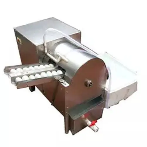 Drum Type Double Row Egg Washing Machine Egg Washer 3600pcs/h Egg Cleaning Machinery Equipment