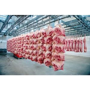 Vente en gros de viande de porc congelée fraîche de qualité supérieure, pieds avant de porc et pattes postérieures de porc congelées, oreillettes de porc congelées - Product Image 3