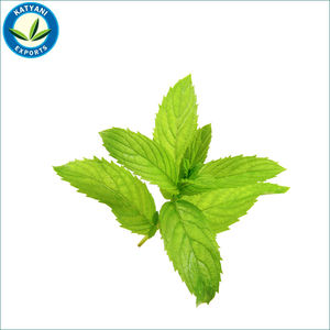 Huile 100% naturelle et pure de Mentha Arvensis du fournisseur indien avec une qualité supérieure au meilleur prix pour les utilisations cosmétiques de qualité supérieure - Product Image 3