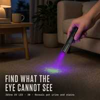 Lampe torche UV 365nm pour la détection des animaux domestiques, filtre UV noir, mini lampe torche UV