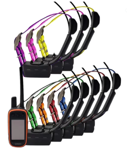 Tout nouveau Original 100 avec colliers GPS TT15 COMBO Dogs - Product Image 2