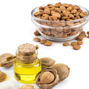 เมล็ดแอปริคอท | บรรจุสำหรับห่วงโซ่อุปทานความงามขายส่ง - Product Image 5