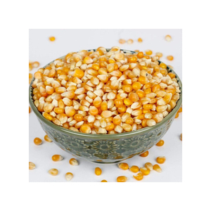 Maíz amarillo seco para alimentación animal a un precio económico ahora a la venta - Product Image 3