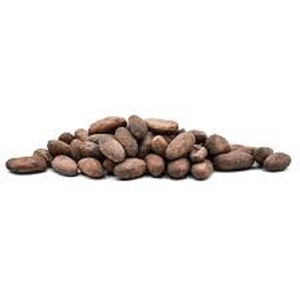 Granos de Cacao Tostados de Alta Calidad al por Mayor, 100% Puros |   Semillas de Cacao Forastero de Ghana para la Producción de Chocolate y Cacao en Polvo - Product Image 2