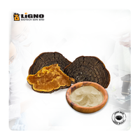 Extrait de champignon Phellinus Linteus en poudre LiGNO SH02, séché à froid, complément avancé pour le renouvellement cutané, compatible OEM/ODM, naturel