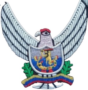 Patchs brodés faits à la main Offre Spéciale du fabricant de badges aigle noir et blanc personnalisables de haute qualité - Product Image 1