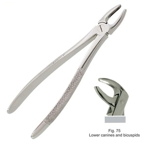 คีมถอนฟันแบบใช้ซ้ำได้เครื่องมือทางทันตกรรมสำหรับเขี้ยวล่างและลูกหนูแบบภาษาอังกฤษ - Product Image 3