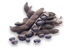 Comprimés Himalaya Speman, complément alimentaire à base de plantes pour la santé masculine, vitalité, force et soutien quotidien au bien-être - Product Image 3